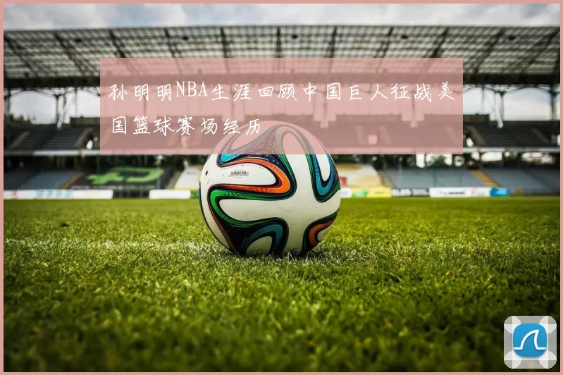 孙明明NBA生涯回顾中国巨人征战美国篮球赛场经历