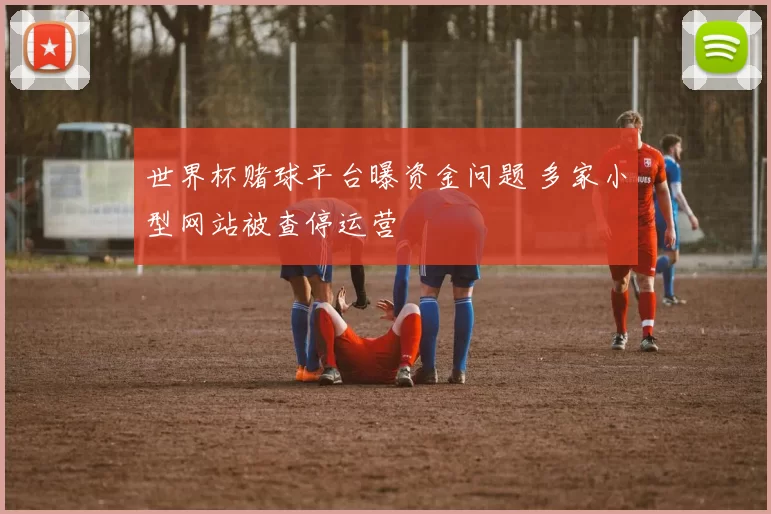 世界杯赌球平台曝资金问题 多家小型网站被查停运营